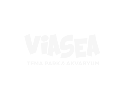 ViaSea